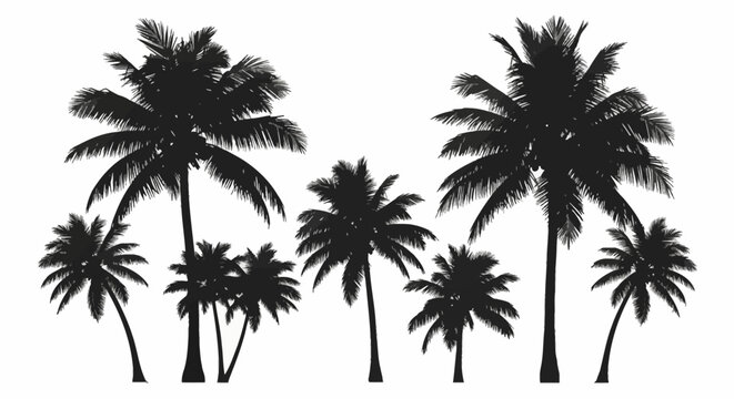 Collection of black palm tree silhouettes of various heights and species, including coconut and date palms, featuring detailed fronds and trunks isolated on a solid white background.