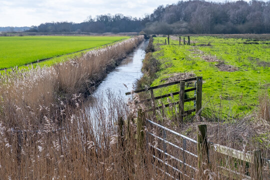 Drainage dyke in the countryside. Selective focus on reeds and gate and intentional out of focus background and bokeh