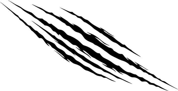 Black claw marks on white background scratch animal
