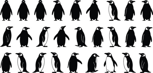 Stylized silhouette vector illustration of multiple penguins in diverse poses highlighting unique postures and distinctive black‑white markings © Creative design