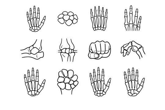 Palm image icon dexterity anatomy bone finger joint vector phalanges generation thumb