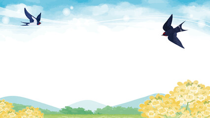 初夏の青空とツバメの背景イラスト / Swallow and Mustard Flower Spring Background © kishi-yu