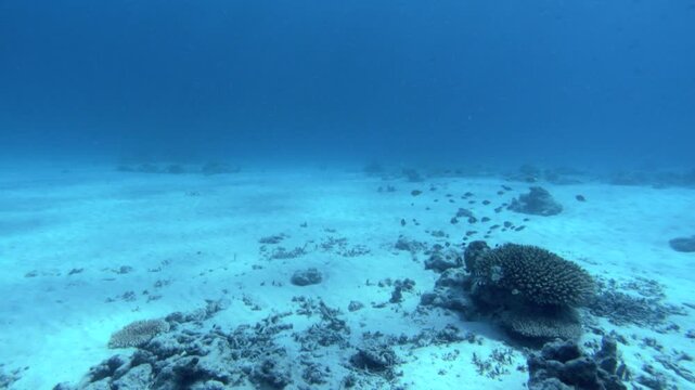 慶良間諸島