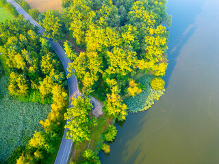 Fototapeta premium A winding road runs alongside a body of water. Trees surround the area with a mix of green foliage. The scene is captured from an aerial view during daylight.
