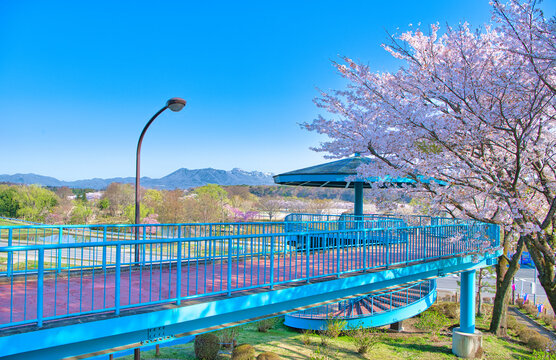 栃木県那須塩原市　満開の桜と那須岳の風景