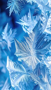 Intricate ice crystals form delicate fractal patterns against a blurred blue background.