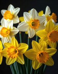 Obraz premium A vibrant arrangement of yellow and white daffodils with orange centers.