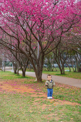 Naklejka premium Happy baby playing near Sakura trees at park