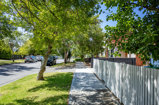 A leafy residential street in Williamstown, Melbourne, Australia, featuring a shaded sidewalk lined with mature trees and well-kept homes behind neat fences. A calm and livable suburban atmosphere