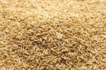 Fototapeta premium Natural oat grain as background, closeup view