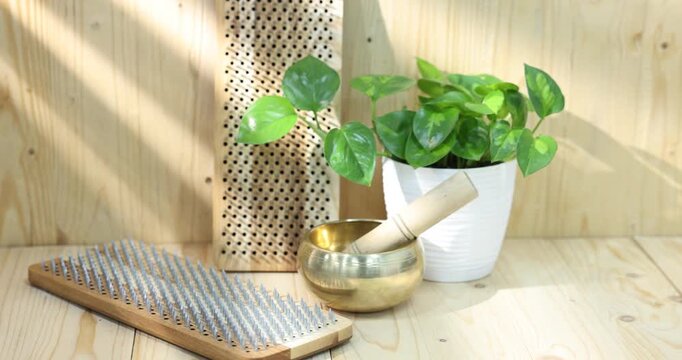 Standing on nails. Two Sadhu boards and houseplant on wooden table, closeup. Camera moving right