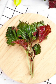 Fresh Red and Green Perilla Leaves on Wooden Board - Asian Herb Still Life Photography