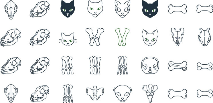 Animal skull and bone icon set featuring cat skulls paws skeleton parts and pet anatomy elements in clean outline vector illustration collection