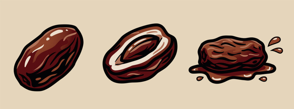 Date Fruit Vector Set with Whole Cross Section and Squished Date Illustrations on Beige Background