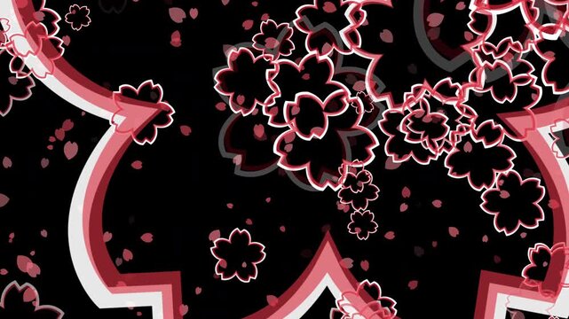 桜 花びら 大 枠あり 回転 下降 パターン02 紅梅色 ループ（黒背景）