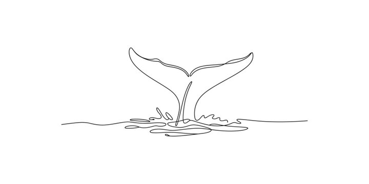Whale tail surfacing in continuous line art style water ocean sea one drawing illustration minimalist