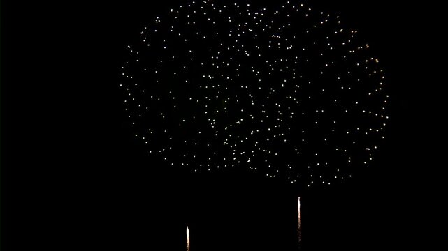 連射された花火のアップ