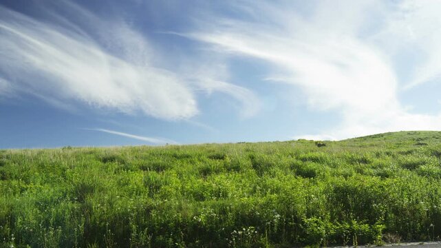 霧ヶ峰高原の草原風景