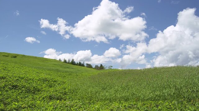 草原の丘と夏の雲