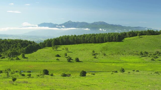 霧ヶ峰湿原から南アルプスの眺め