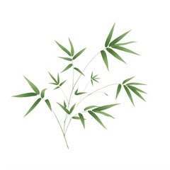 Fototapeta premium Scattered bamboo leaves and stems illustration on transparent background