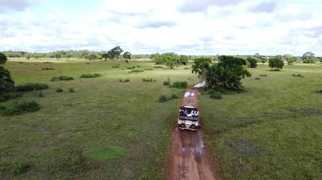 Drone Aerial View of Pantanal Wetlands, Brazil