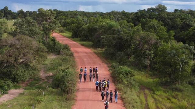 Drone Aerial View of Pantanal Wetlands, Brazil