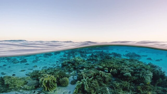 Half underwater view of shallow coral reef at sunset with calm sea surface and clear sky in Red Sea Egypt