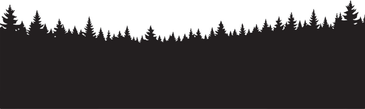 Black pine tree forest silhouette, nature landscape border, vector trees