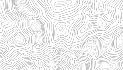 Topographic Seamless Pattern Design. Abstract Contour Line Illustration. Repeating Organic Line Texture. Modern Minimal Line Style. Background For Wallpaper Textile. © Zayyan 