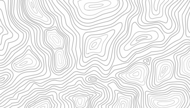 Topographic Seamless Pattern Design. Abstract Contour Line Illustration. Repeating Organic Line Texture. Modern Minimal Line Style. Background For Wallpaper Textile.