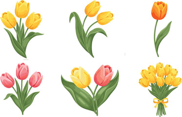 Obraz premium Tulip Flower Vector Set with Yellow, Red, and Pink Blossoms in Realistic Botanical Style for Spring Garden Design, Floral Decoration, and Nature Illustration