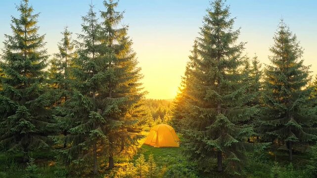 A bright yellow camping tent nestled in a serene coniferous forest during a beautiful golden sunset