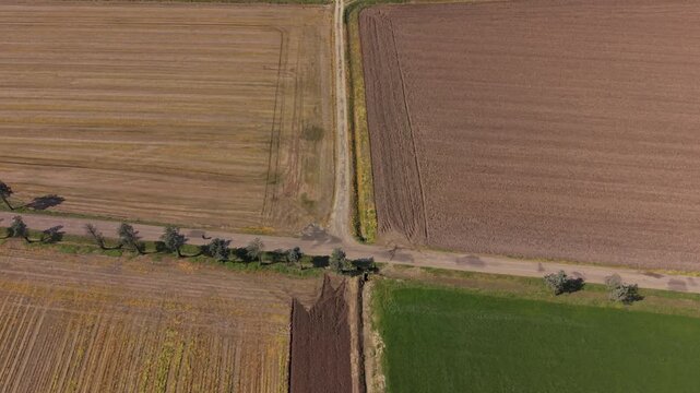 Rural Crossroads: An aerial view reveals a patchwork of cultivated fields and rural roads forming a crossroad in the countryside, showcasing the geometric patterns of agriculture under the sun.