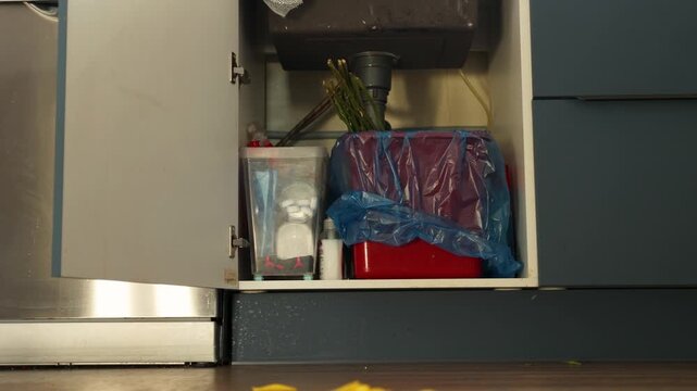 Woman in kitchen discarding wilted yellow flowers into trash bag under sink. End of holiday celebration with withered bouquet disposal after fun gathering. video footage video footage photography