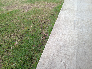 Fototapeta premium Grass lawn beside light gray concrete sidewalk with a clean diagonal edge simple outdoor ground texture background with copy space.