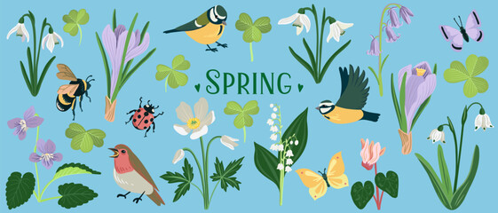 vector drawing spring set with birds, flowers and insects, blue tits snowdrop, bluebells,wild sorrel and butterflies, hand drawn illustration, cute natural background © cat_arch_angel