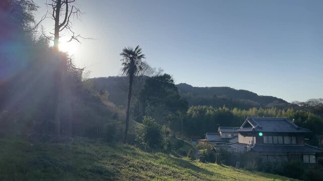 A quiet rural scene in Japan, featuring a narrow path leading through a peaceful village. The atmosphere is calm and timeless, with soft natural light and minimal movement.