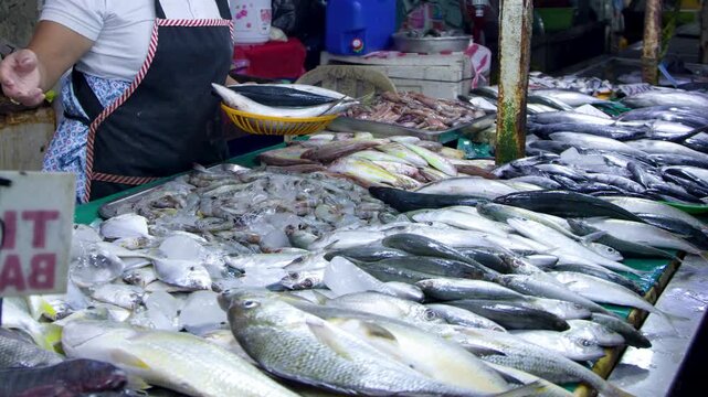 Filipino Market Vendor Arranging Fresh Fish on a Stall in Manila