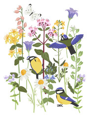composition with flowers, butterflies and birds, vector drawing flowering wild plants and blue tits , wildlife natural background, hand drawn botanical illustration © cat_arch_angel