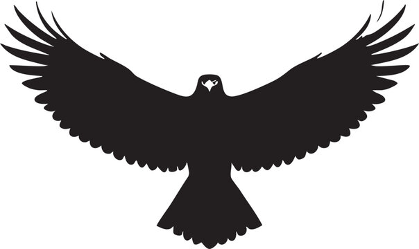 Eagle vector silhouette: flying bird of prey graphic design eps