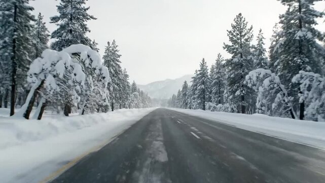Driving down a snowy road with snow-covered trees lining the sides under a grey sky
