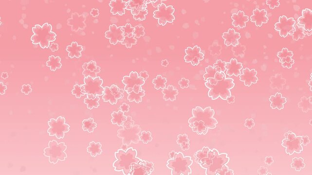 桜 花びら 小 枠あり 枠中あり 回転 下降 パターン01 桜色 ループ（ピンク グラデーション背景）