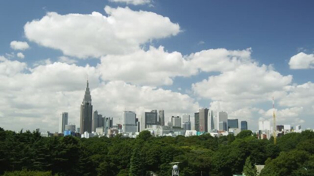 新宿大京町から新宿高層ビル群の眺め