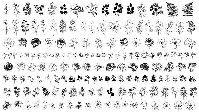 Collection of Hand Drawn Botanical Elements Vector Graphic Set Featuring Various Sketchy Flowers Leaves Twigs Sprigs Berries And Detailed Floral Illustrations Ideal For Design
