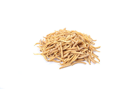 Dried Codonopsis Root - Nutritious Herbal Ingredient