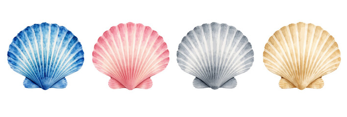 A watercolor vector of colorful scallop sea shells set for coastal decor, marine design and summer themed projects. © liana