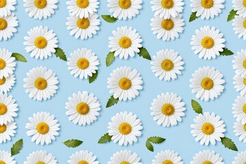 A bunch of white daisies on a blue background © He