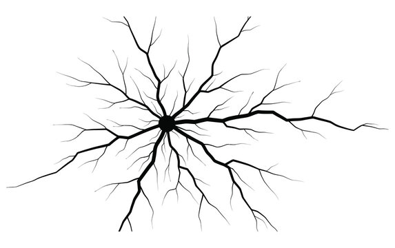 Fractal Branching Pattern: A mesmerizing display of abstract design, showcasing a fractal branching pattern in stark black lines radiating from a central point.
