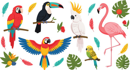 Tropical Birds Including Parrots, Flamingo, Toucan, Cockatoo, and Budgie with Colorful Feathers and Leaves IllustrationTropical Birds Including Parrots, Flamingo, Toucan, Cockatoo, and Budgie with Col © Mominul